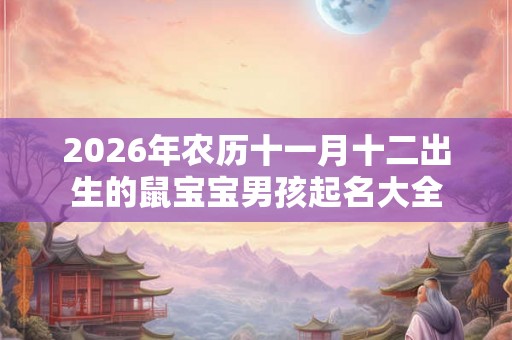 2026年农历十一月十二出生的鼠宝宝男孩起名大全
