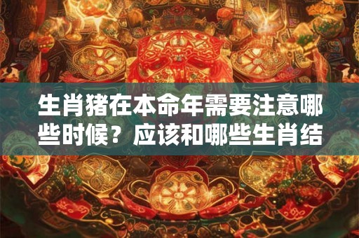 生肖猪在本命年需要注意哪些时候?应该和哪些生肖结交? 生肖猪在本命年需要注意哪些时候?应该和哪些生肖结交?