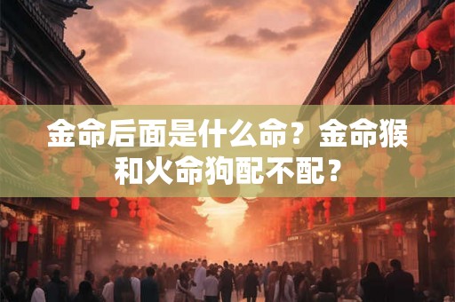 金命后面是什么命？金命猴和火命狗配不配？