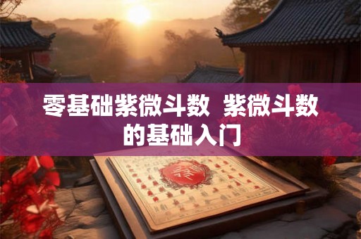 零基础紫微斗数  紫微斗数的基础入门