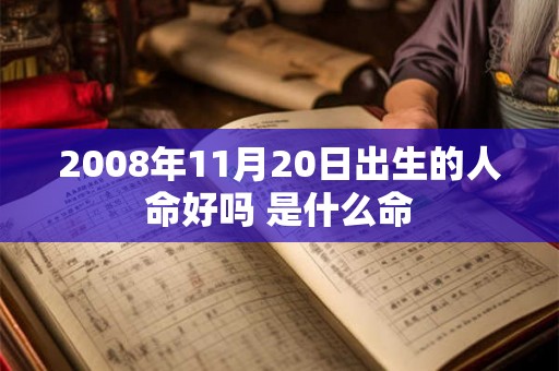2008年11月20日出生的人命好吗 是什么命