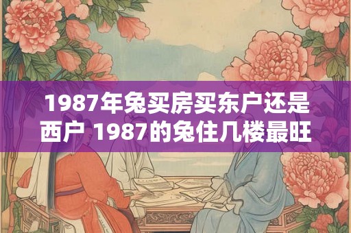 1987年兔买房买东户还是西户 1987的兔住几楼最旺