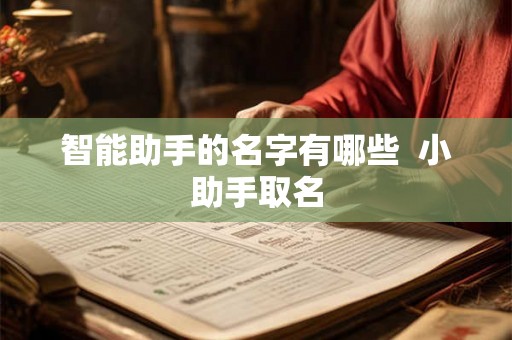 智能助手的名字有哪些  小助手取名