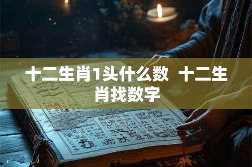 十二生肖1头什么数  十二生肖找数字