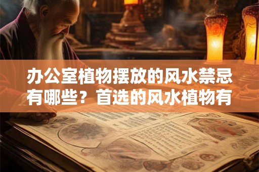 办公室植物摆放的风水禁忌有哪些？首选的风水植物有哪些？