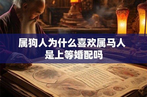 属狗人为什么喜欢属马人 是上等婚配吗
