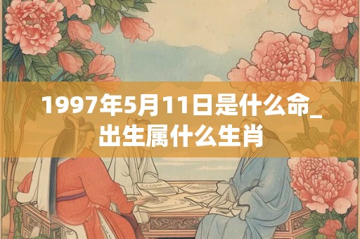1997年5月11日是什么命_出生属什么生肖