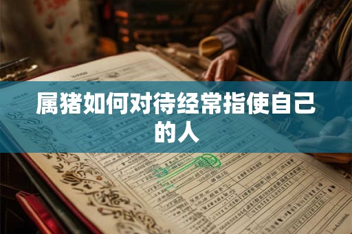 属猪如何对待经常指使自己的人