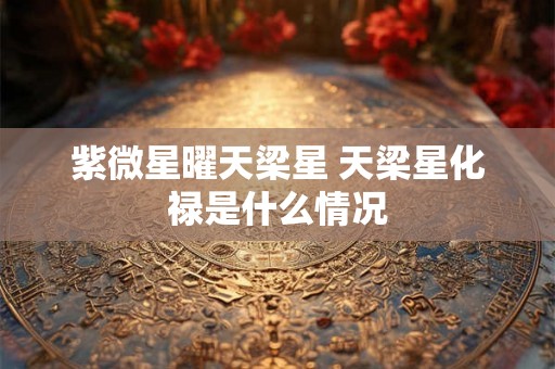 紫微星曜天梁星 天梁星化禄是什么情况