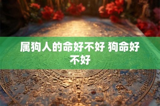 属狗人的命好不好 狗命好不好