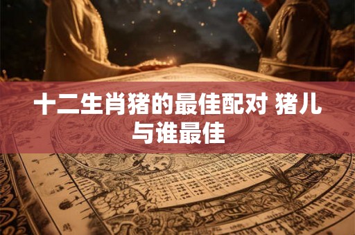 十二生肖猪的最佳配对 猪儿与谁最佳
