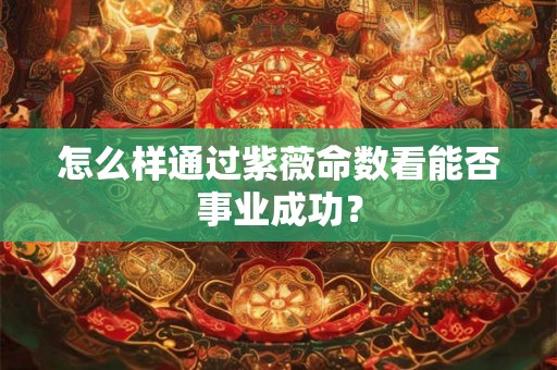 怎么样通过紫薇命数看能否事业成功？