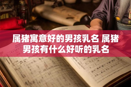 属猪寓意好的男孩乳名 属猪男孩有什么好听的乳名 属猪寓意好的男孩乳名 属猪男孩有什么好听的乳名