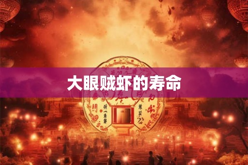 大眼贼虾的寿命 大眼贼虾的寿命
