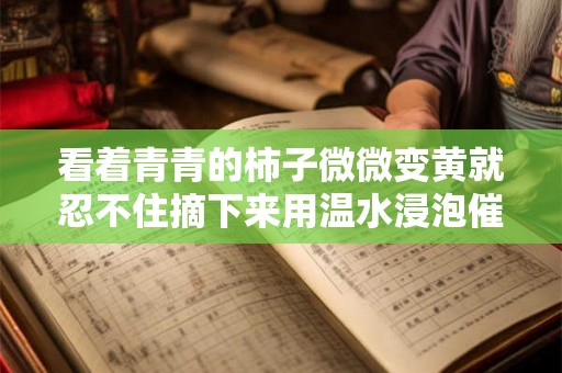 看着青青的柿子微微变黄就忍不住摘下来用温水浸泡催熟它