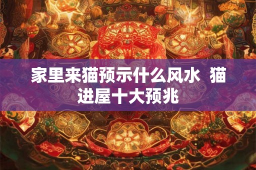 家里来猫预示什么风水  猫进屋十大预兆