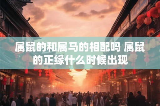 属鼠的和属马的相配吗 属鼠的正缘什么时候出现