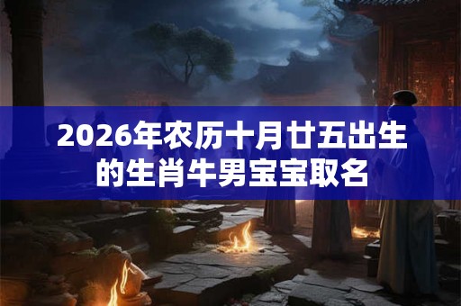 2026年农历十月廿五出生的生肖牛男宝宝取名