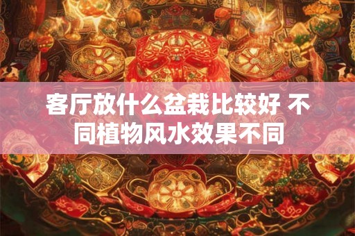 客厅放什么盆栽比较好 不同植物风水效果不同