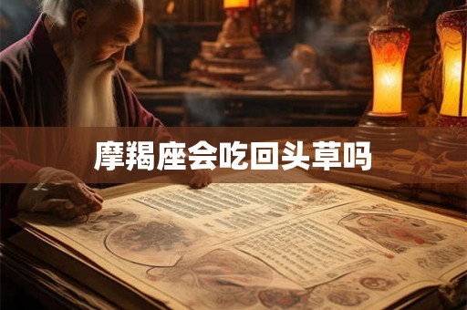 摩羯座会吃回头草吗