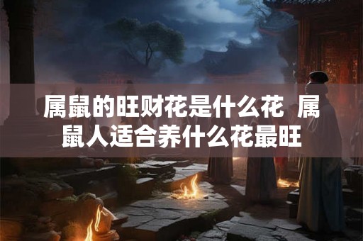 属鼠的旺财花是什么花  属鼠人适合养什么花最旺