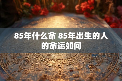 85年什么命 85年出生的人的命运如何