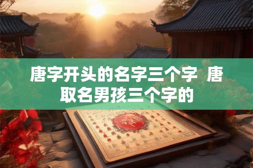 唐字开头的名字三个字  唐取名男孩三个字的