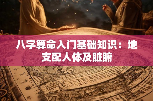 八字算命入门基础知识：地支配人体及脏腑