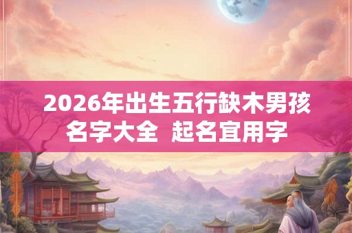 2026年出生五行缺木男孩名字大全  起名宜用字