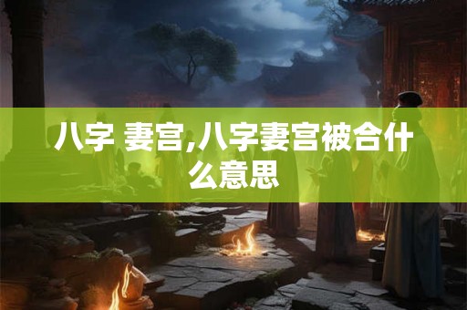 八字 妻宫,八字妻宫被合什么意思
