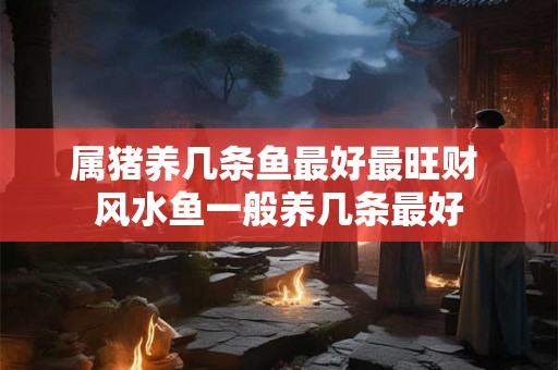 属猪养几条鱼最好最旺财 风水鱼一般养几条最好