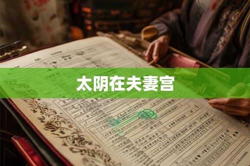 太阴在夫妻宫