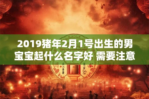2019猪年2月1号出生的男宝宝起什么名字好 需要注意什么