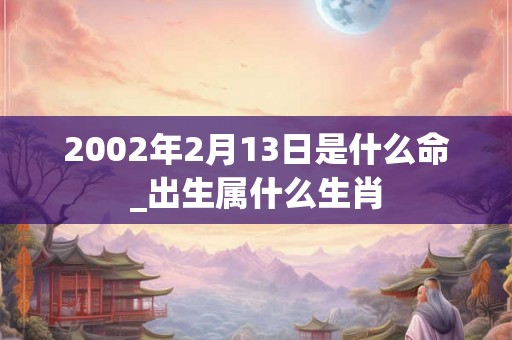 2002年2月13日是什么命_出生属什么生肖