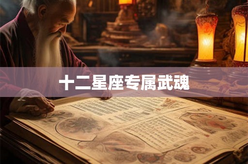 十二星座专属武魂