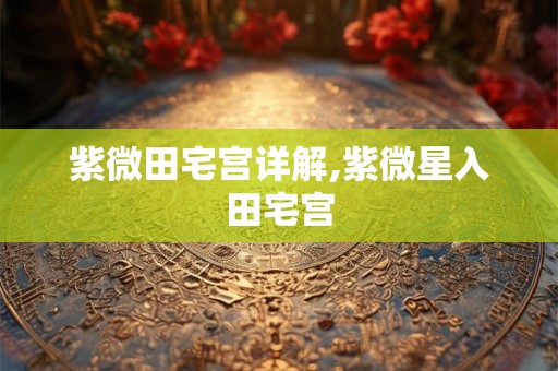 紫微田宅宫详解,紫微星入田宅宫