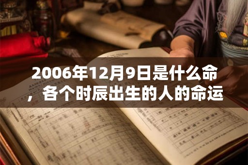2006年12月9日是什么命，各个时辰出生的人的命运