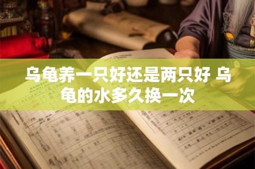 乌龟养一只好还是两只好 乌龟的水多久换一次 乌龟养一只好还是两只好 乌龟的水多久换一次