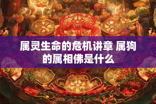 属灵生命的危机讲章 属狗的属相佛是什么