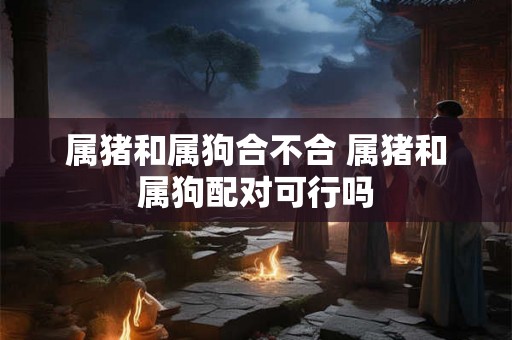 属猪和属狗合不合 属猪和属狗配对可行吗
