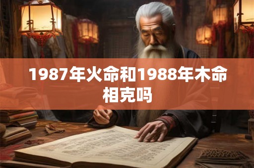 1987年火命和1988年木命相克吗