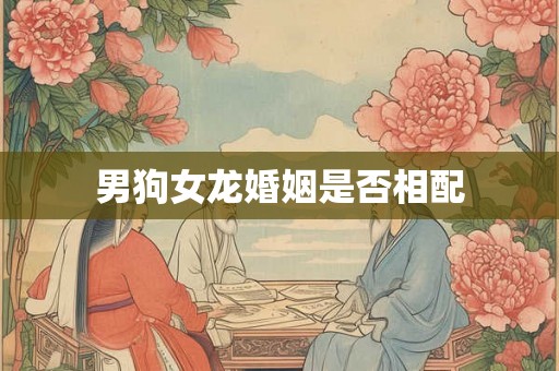 男狗女龙婚姻是否相配