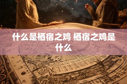 什么是栖宿之鸡 栖宿之鸡是什么