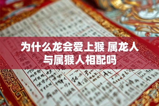 为什么龙会爱上猴 属龙人与属猴人相配吗