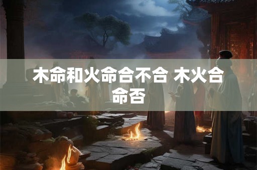 木命和火命合不合 木火合命否