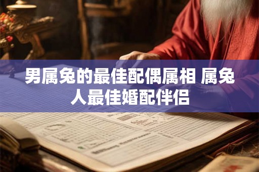 男属兔的最佳配偶属相 属兔人最佳婚配伴侣