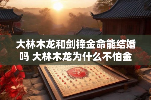 大林木龙和剑锋金命能结婚吗 大林木龙为什么不怕金
