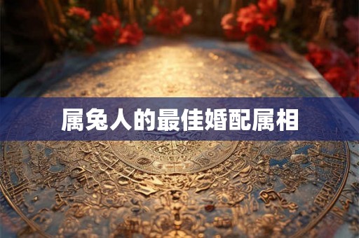 属兔人的最佳婚配属相