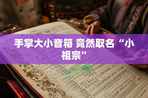 手掌大小音箱 竟然取名“小祖宗”