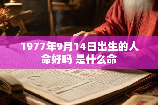 1977年9月14日出生的人命好吗 是什么命